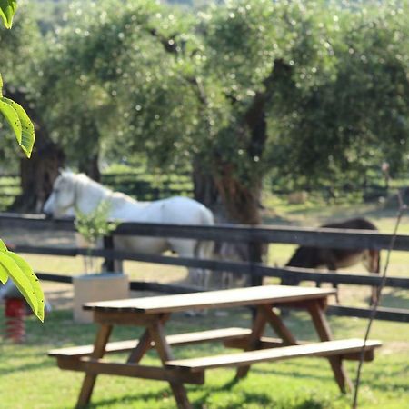 Honigtal Farmland Villa Agios Georgios Pagon Eksteriør billede