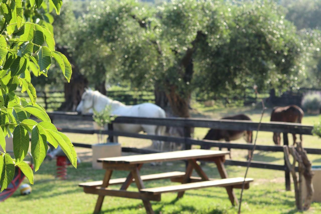 Honigtal Farmland Villa Agios Georgios Pagon Eksteriør billede