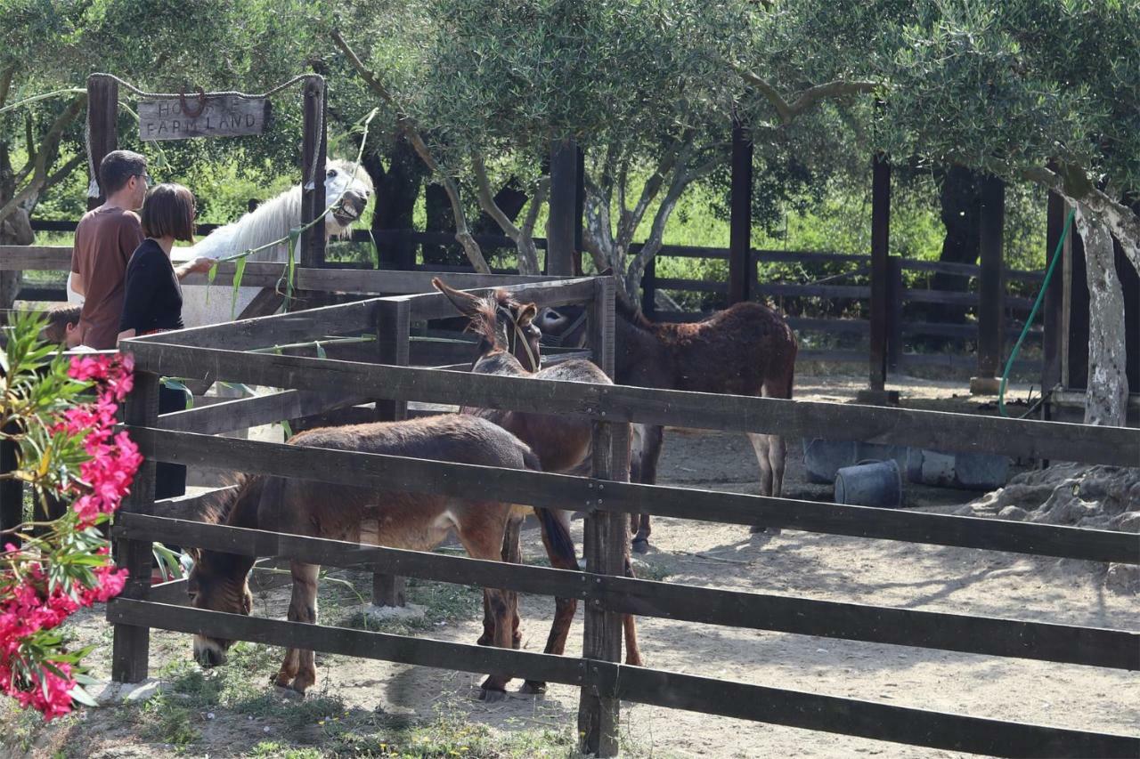 Honigtal Farmland Villa Agios Georgios Pagon Eksteriør billede