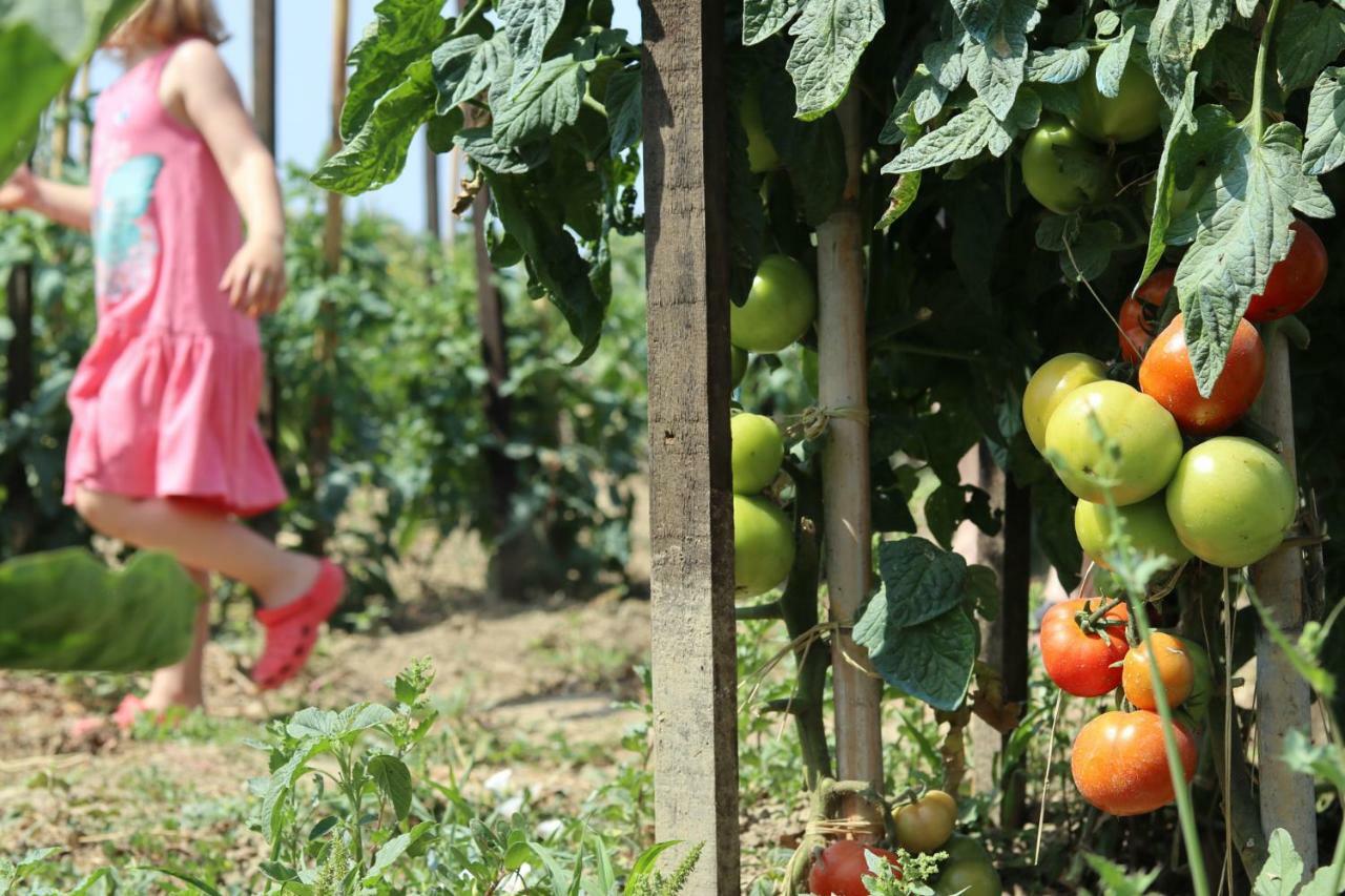 Honigtal Farmland Villa Agios Georgios Pagon Eksteriør billede