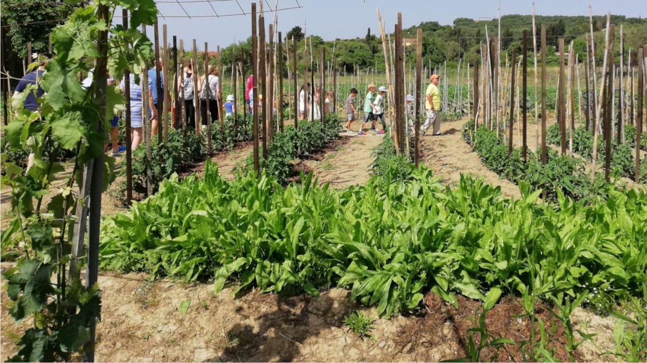 Honigtal Farmland Villa Agios Georgios Pagon Eksteriør billede